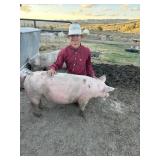 Kane Sorensen, Hog, 752