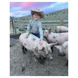 Hugo Sorensen, Hog, 726