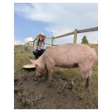 Kolbie Erickson, Hog, 793
