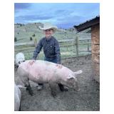 Max Sorensen, Hog, 753