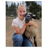 Abbie Paske, Lamb, 749