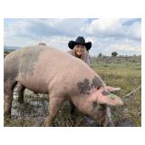 Charliee Richter, Hog, 781