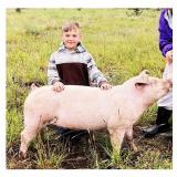 Bridger Smith, Hog, 755