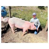 Tucker Butori, Hog, 680