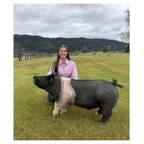 Kenzie Parini, Hog, 777