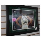 Giannis Antetokounmpo Picture