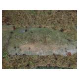 Passenger Side Window, 