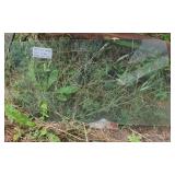 Passenger Side Window, 
