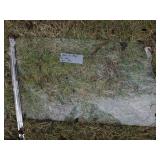 Passenger Side Window, 