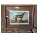 Framed Print of ï¿½The Celebrated Horse Lexingtonï¿½