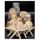 Decorative Seashells and Starfish