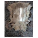 Tanned Animal Hide with Fur