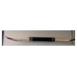 Mounted Longhorn Steer Horns with Black Center