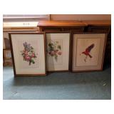 Three Framed Botanical and Bird Prints