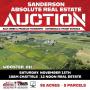 Sanderson Absolute Real Estate Auction