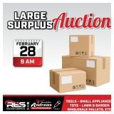 Large Surplus Auction