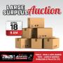 Large Surplus Auction