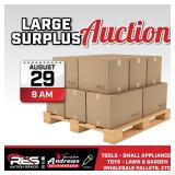 Large Surplus Auction