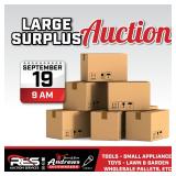Large Surplus Auction