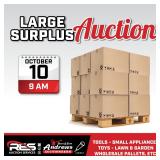 Large Surplus Auction