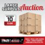 Large Surplus Auction