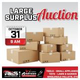 Large Surplus Auction