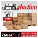 Large Surplus Auction