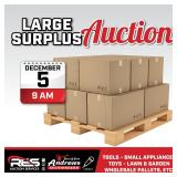 Large Surplus Auction