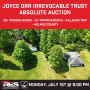 Joyce Orr Irrevocable Trust Absolute Auction