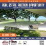 Real Estate Auction Opportunity