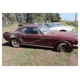 1966 Ford Mustang 289