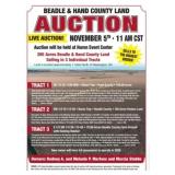LIVE AUCTION INFO