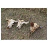 3 buffalo skulls