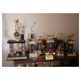 Pool trophies & awards