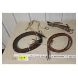 Leather Reins &  running martingales