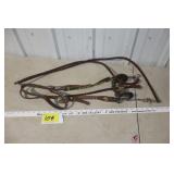 Bridle w/ rutledge roper bit