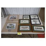 Duck Stamp Pictures and Duck Pictures