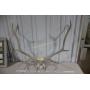 7/8 Dave Gilbert Online Only Auction 7pm CST