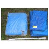 2 Tarps