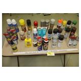 Garage liquids & paint spray