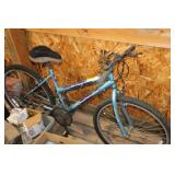 Roadmaster bike