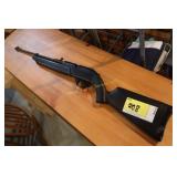 760 Pumpmaster Pellet Rifle