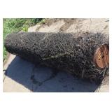 Cattle Scratcher