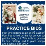First time bidding at an online auction?