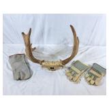 3 pairs of gloves with free moose antler rack