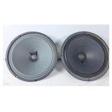 12" speaker head, Mojotone, Jensen