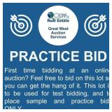 First time bidding at an online auction?