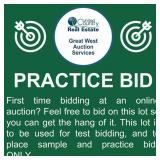 First time bidding at an online auction?