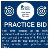 First time bidding at an online auction?
