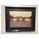 Framed print of a Dock Side Sunset
